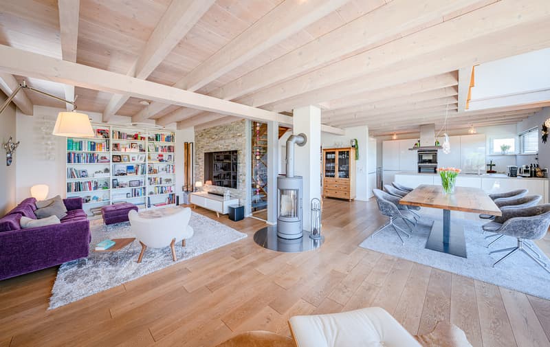 HIGH STANDARD AND PLENTY OF SPACE WITH A VIEW OF THE SÄNTIS (2)
