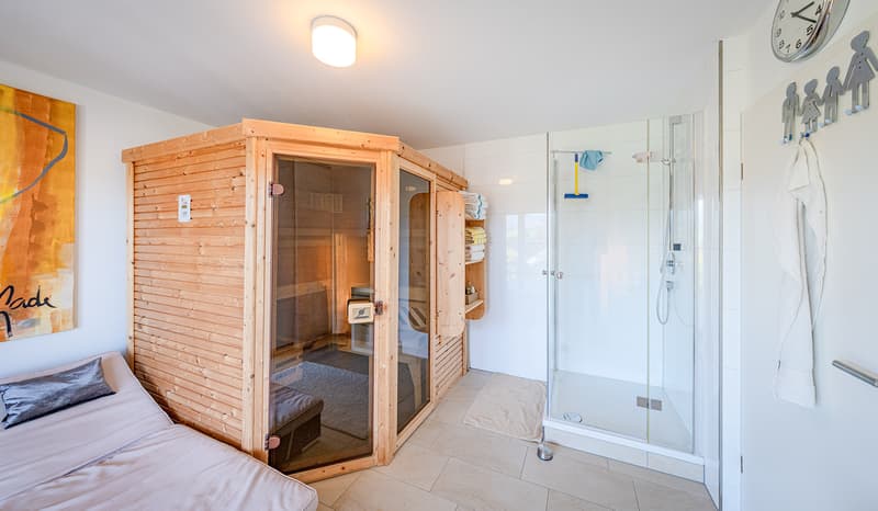 HIGH STANDARD AND PLENTY OF SPACE WITH A VIEW OF THE SÄNTIS (6)