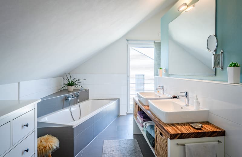 HIGH STANDARD AND PLENTY OF SPACE WITH A VIEW OF THE SÄNTIS (5)