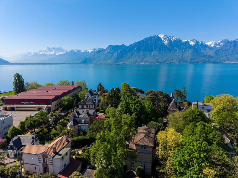 LAKE AND MOUNTAIN VIEW ON THE RIVIERA - MODERN 4.5 ROOM APARTMENT (7)