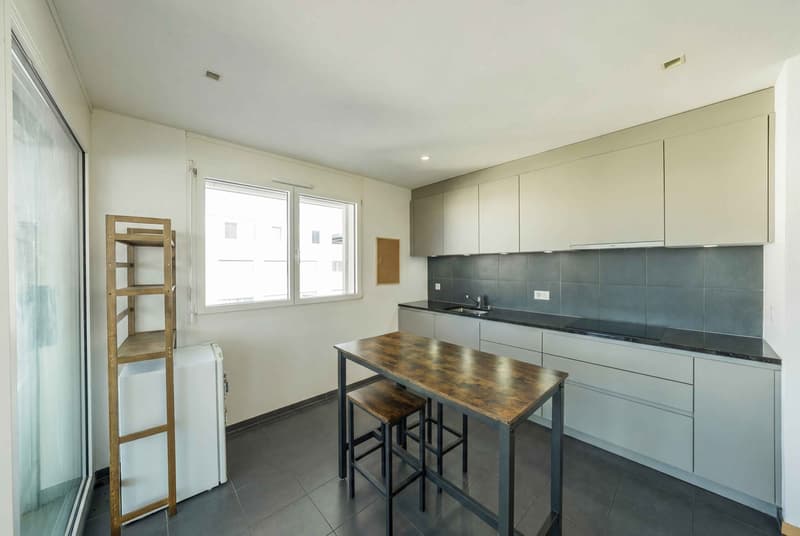 LAKE AND MOUNTAIN VIEW ON THE RIVIERA - MODERN 4.5 ROOM APARTMENT (2)