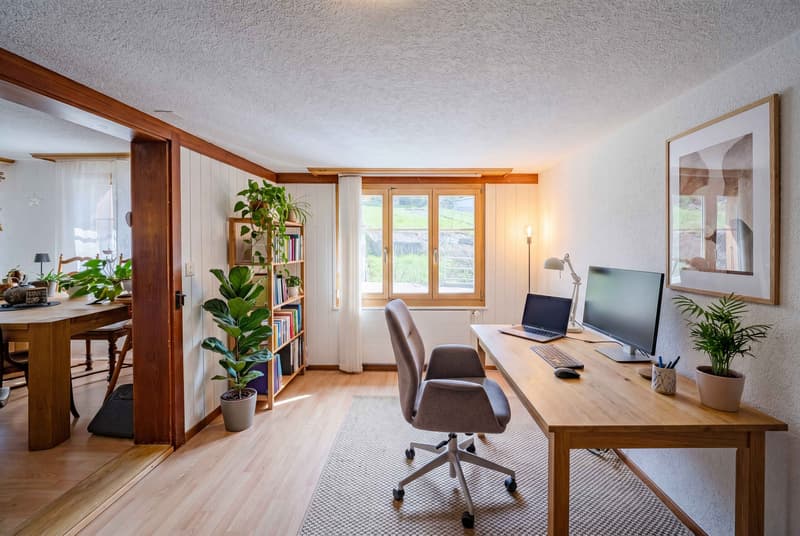 CHARMING AND AFFORDABLE - 8-ROOM HOUSE WITH A SEPARATE APARTMENT (5)