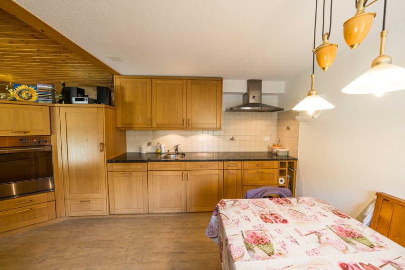 BEAUTIFUL CHALET WITH TWO APARTMENTS (3)