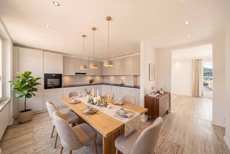 MERVEILLE D'UTILISATION À OLTEN - MAISON D'HABITATION ET COMMERCIALE (3)
