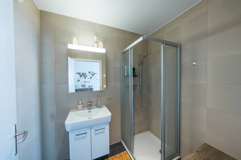 LAKE AND MOUNTAIN VIEW ON THE RIVIERA - MODERN 4.5 ROOM APARTMENT (5)