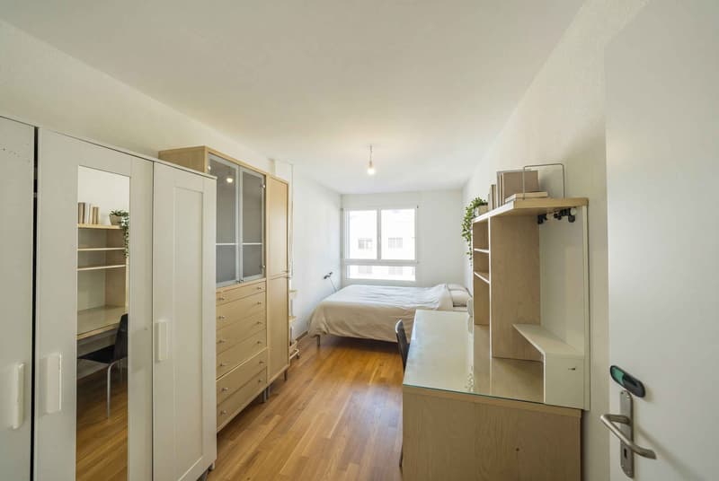 LAKE AND MOUNTAIN VIEW ON THE RIVIERA - MODERN 4.5 ROOM APARTMENT (4)