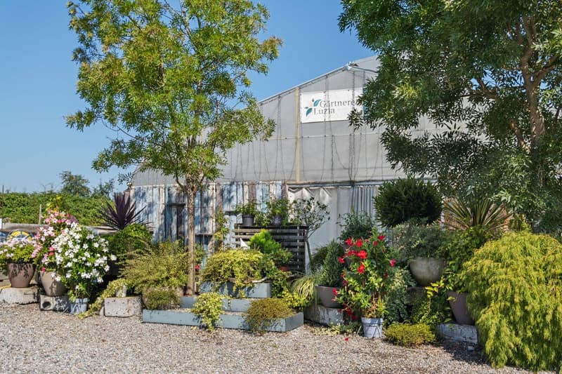 WHERE RUSTIC CHARM MEETS GREAT POTENTIAL (6)