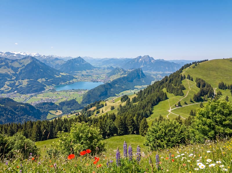 RIGI- KINGDOM OF THE MOUNTAINS: 7,000 m² EXCLUSIVE HOTEL BUILDING LAND (7)