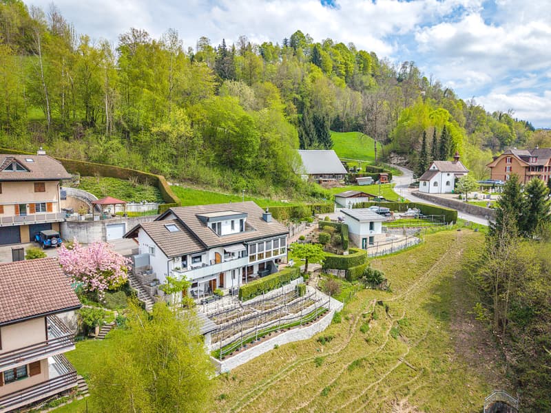 MONTE CASTELLO - FANTASTIC ESTATE WITH OUTBUILDING AND VINEYARD (1)