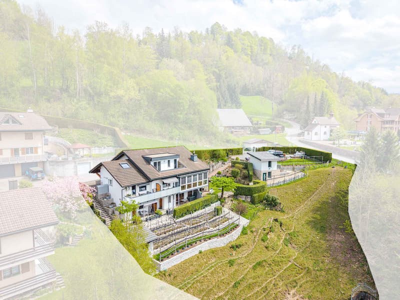 OPPORTUNITY ON A PRIVILEGED SITE: 1,852 m² BUILDING LAND IN WOLHUSEN (3)