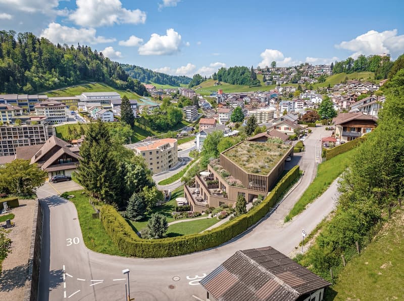 OPPORTUNITY ON A PRIVILEGED SITE: 1,852 m² BUILDING LAND IN WOLHUSEN (2)