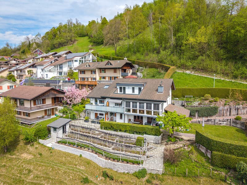 OPPORTUNITY ON A PRIVILEGED SITE: 1,852 m² BUILDING LAND IN WOLHUSEN (5)