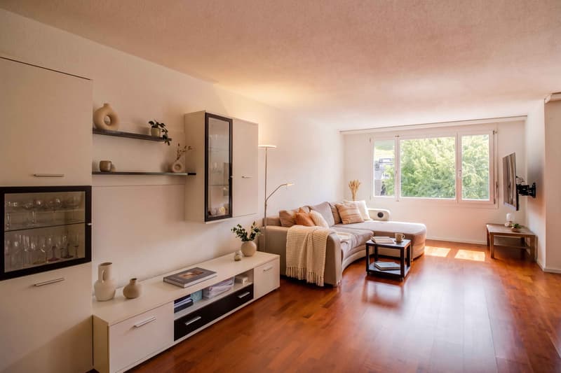 CLASSY AND WELL MAINTAINED 3.5 ROOM APARTMENT (2)
