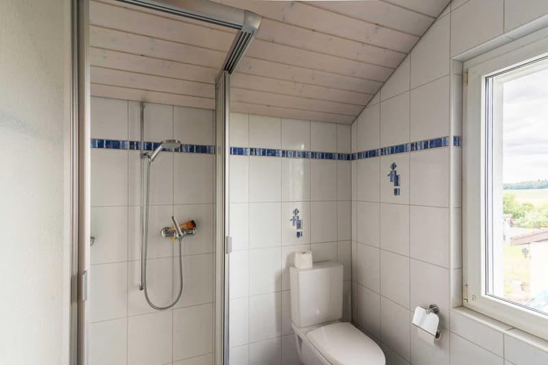 BEAUCOUP D'ESPACE ET VUE SUR LA VERDURE - MAISON INDIVIDUELLE DE 5,5 PIÈCES AVEC APPARTEMENT ANNEXE (5)