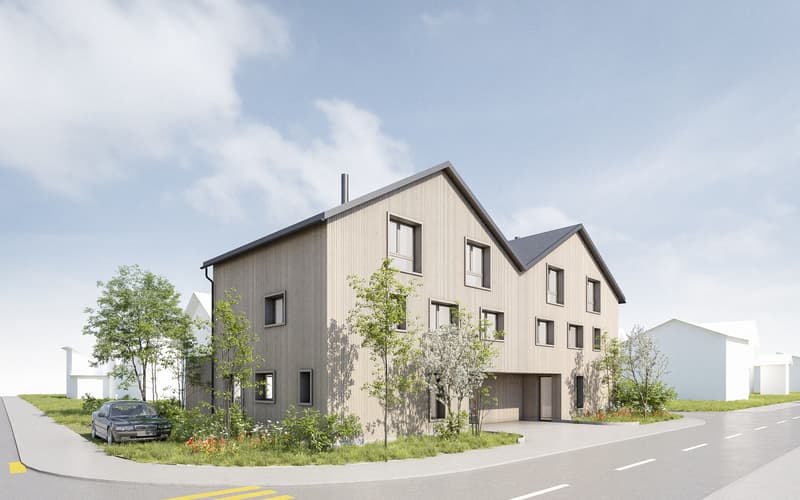 TIMELESS ARCHITECTURE MEETS SUSTAINABLE BUILDING (7)