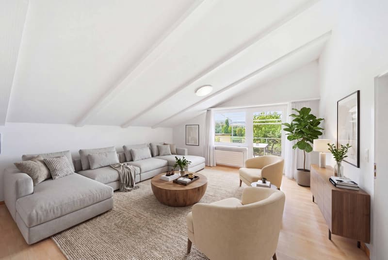MAISON POUR DEUX FAMILLES ENTRE ZURICH ET BADEN (4)