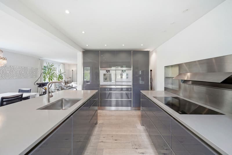 MAISON POUR DEUX FAMILLES ENTRE ZURICH ET BADEN (3)