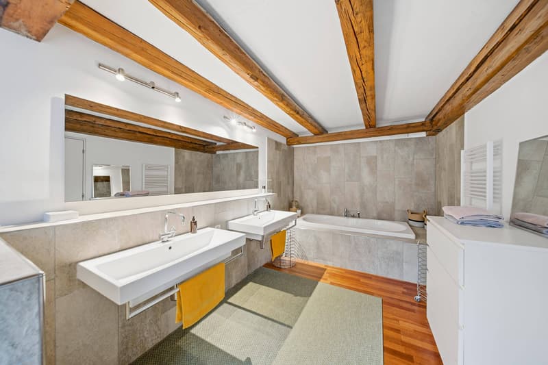 EXZELLENTE DACHMAISONETTE MIT LOFTCHARAKTER (6)