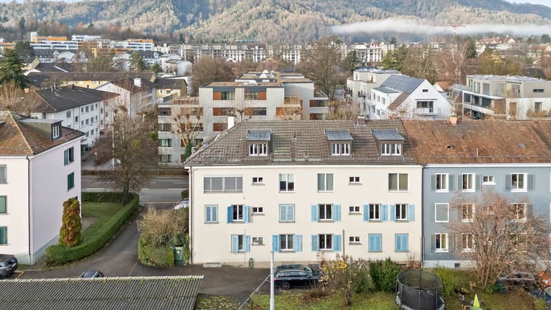 LIVING WITH CHARACTER NEAR LAKE ZURICH (7)