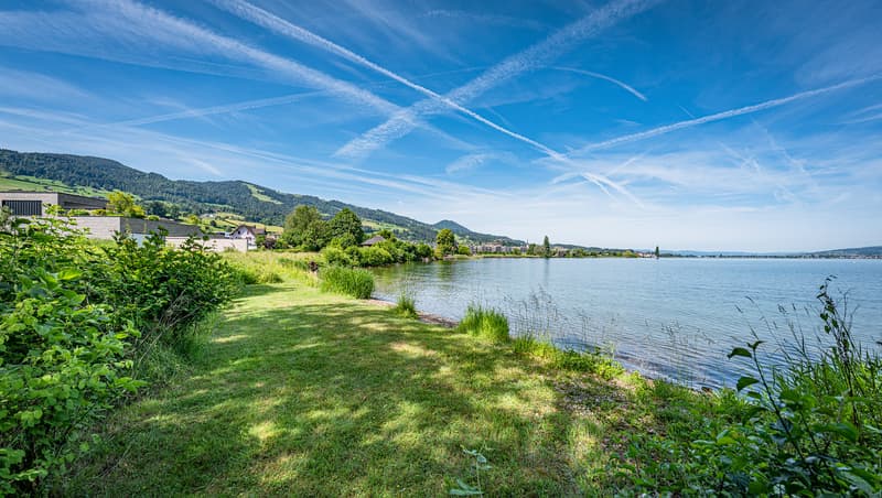 https://www.propertyowner.ch/de/immobilien/ (2)