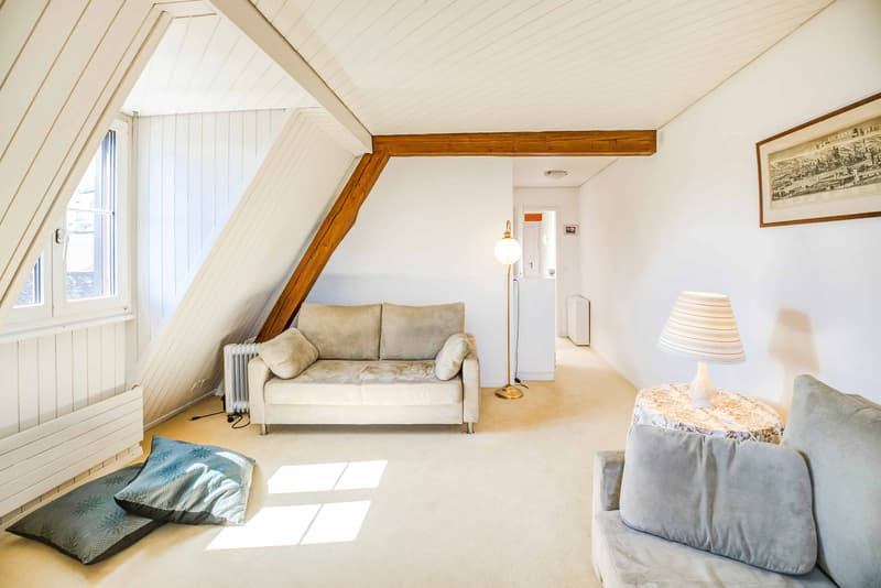 UNE PERLE RÉVÉLÉE SOUS LES TOITS - APPARTEMENT DE 1,5 PIÈCE SOUS LES TOITS À HORGEN (4)