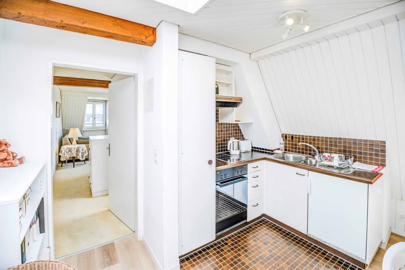 UNE PERLE RÉVÉLÉE SOUS LES TOITS - APPARTEMENT DE 1,5 PIÈCE SOUS LES TOITS À HORGEN (3)