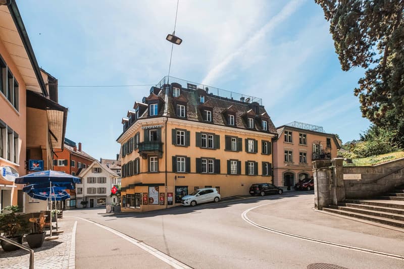 UNE PERLE RÉVÉLÉE SOUS LES TOITS - APPARTEMENT DE 1,5 PIÈCE SOUS LES TOITS À HORGEN (7)