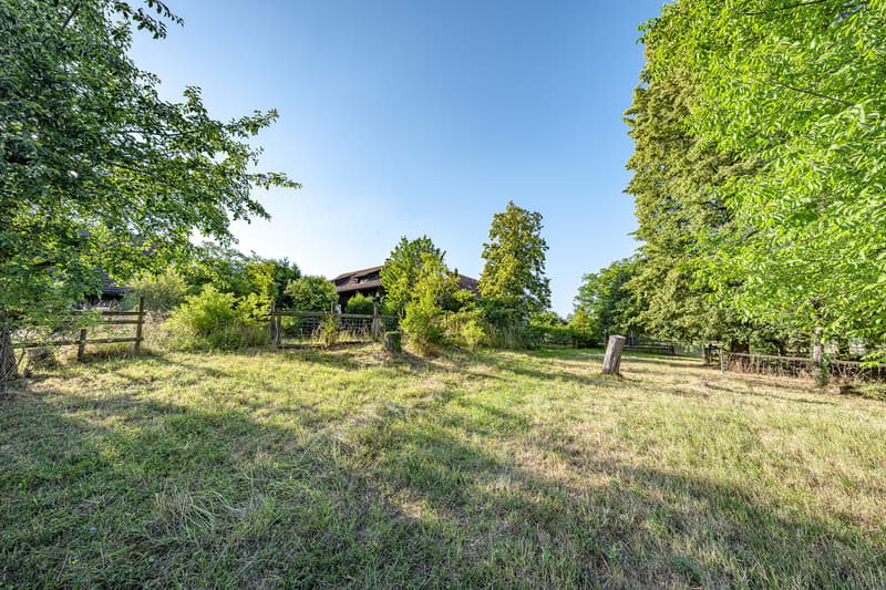 3'262 M² BAULAND – ALS GANZES ODER IN 4 TEILEN (2)