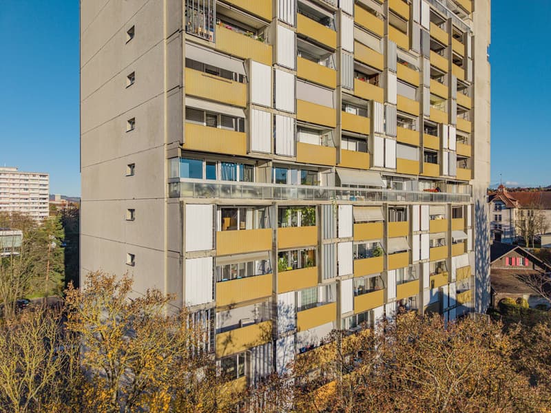 ATTRAKTIVE INVESTITIONS-MÖGLICHKEIT (7)