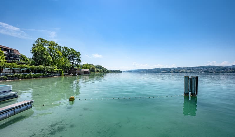 HALLWILERSEE IM BLICK – EXKLUSIVES EINFAMILIENHAUS MIT WEITSICHT (7)