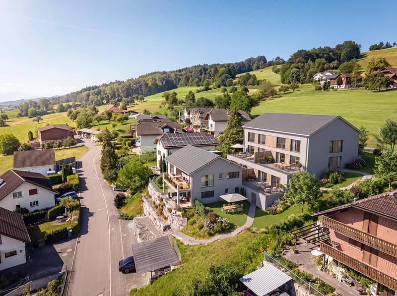 HALLWILERSEE IM BLICK – EXKLUSIVES EINFAMILIENHAUS MIT WEITSICHT (1)