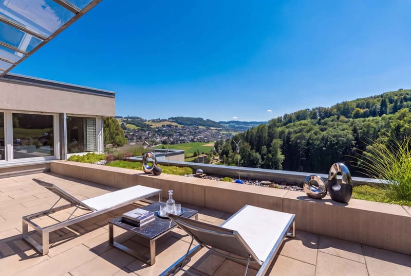 WEITSICHT UND BLICK INS GRÜNE - 4.5 ZIMMER TERRASSENHAUS IN OSTERMUNDIGEN (1)