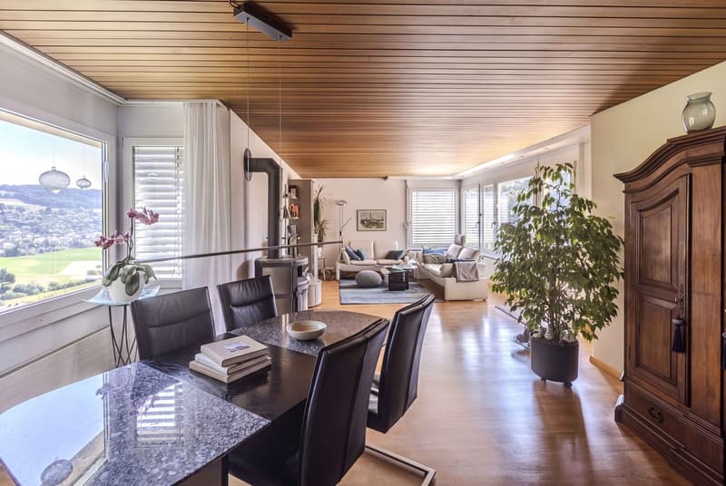 WEITSICHT UND BLICK INS GRÜNE - 4.5 ZIMMER TERRASSENHAUS IN OSTERMUNDIGEN (3)