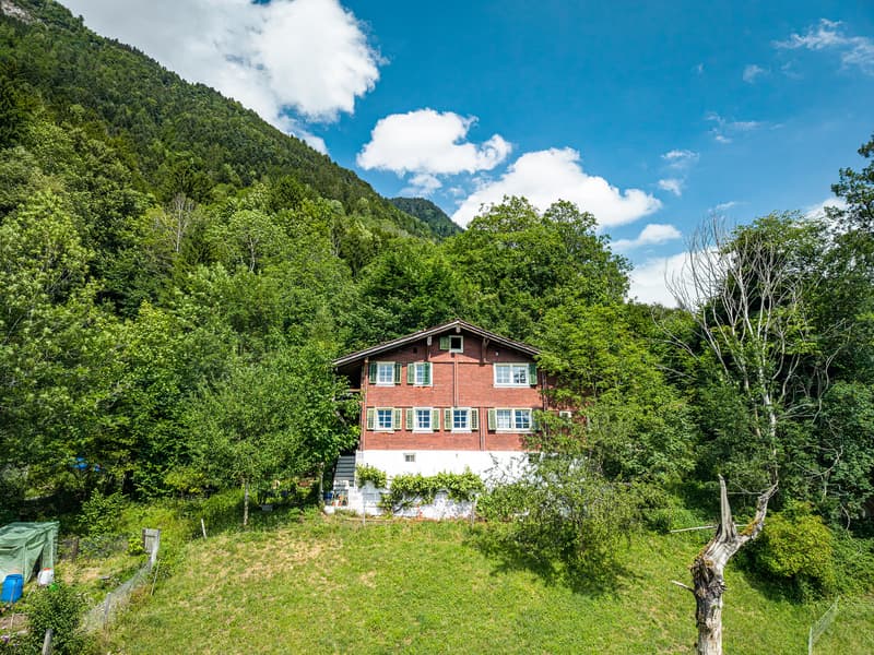 HOCH ÜBER DEM VIERWALDSTÄTTERSEE - 1'393 M² UMSCHWUNG (7)
