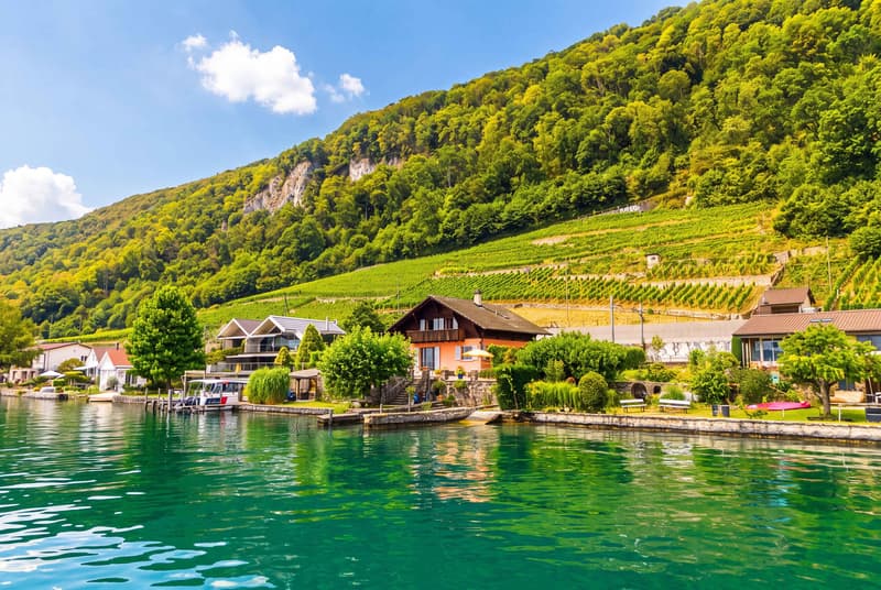 SEEZUGANG UND BOOTSPLATZ - CHARMANTES EINFAMILIENHAUS AM BIELERSEE (7)