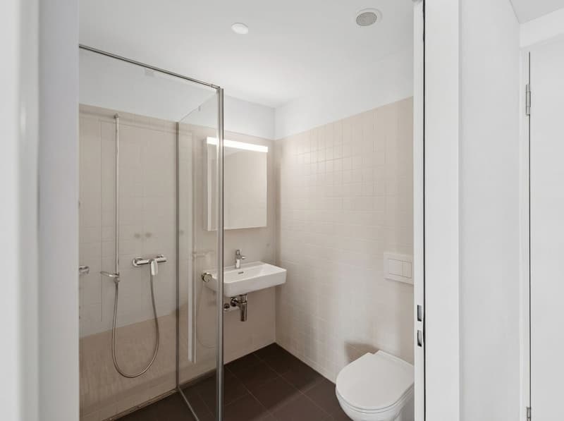 Moderne 1.5 Zimmer Neubauwohnung in Erlenbach ZH (3)