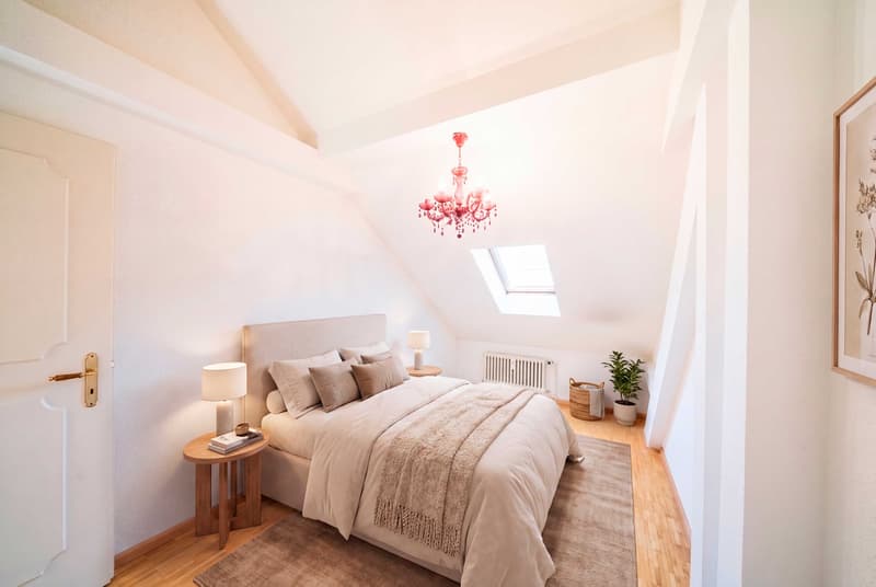 DACHWOHNUNG MIT CHARME IN BASEL-STADT (3)
