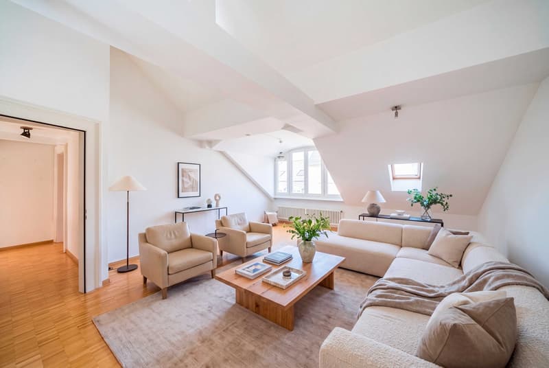 DACHWOHNUNG MIT CHARME IN BASEL-STADT (1)