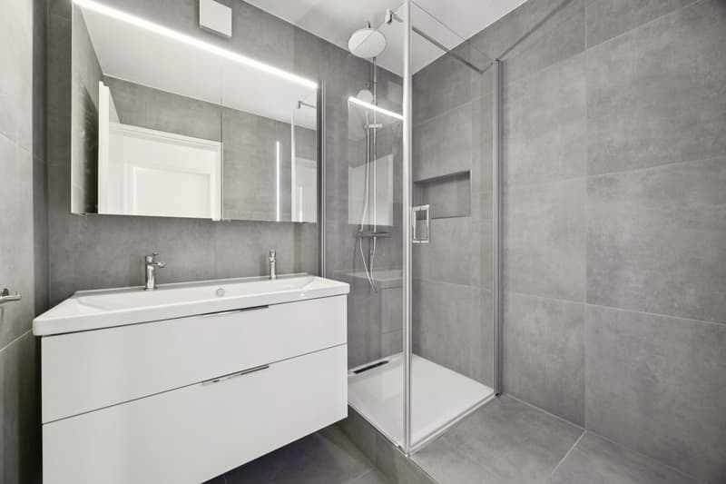 NEUWERTIGE 3.5 ZIMMER EIGENTUMSWOHNUNG AN ATTRAKTIVER LAGE (4)