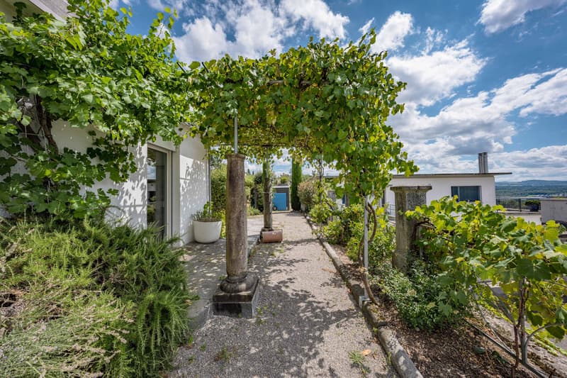 PRUNKVOLLES MEHRFAMILIENHAUS MIT CHARAKTER (7)