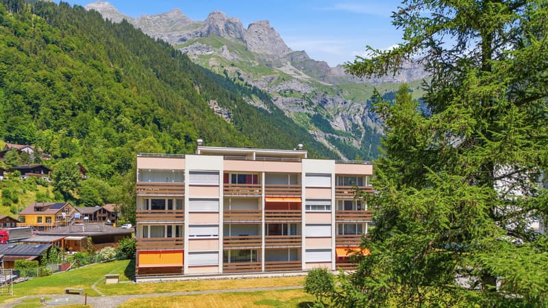 ALPINES AMBIENTE MIT WEITBLICK - 2.5 ZIMMER FERIENWOHNUNG IN ENGELBERG (7)