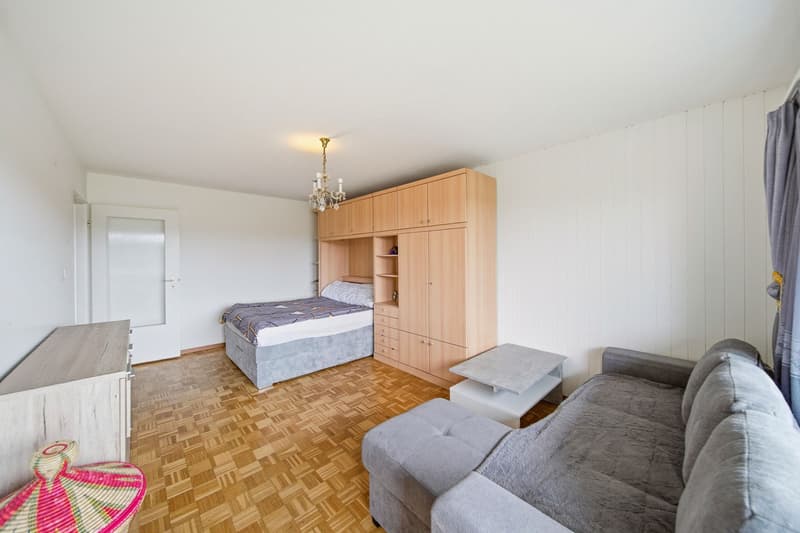 SMARTE 1.5 ZIMMERWOHNUNG IN ZÜRICH - PIED-À-TERRE ODER BUY-TO-LET (2)