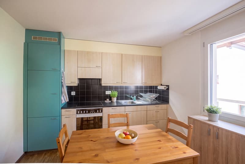 KOMPAKT WOHNEN  IN SCHÖNER UMGEBUNG - 1.5 ZIMMER  WOHNUNG IN ZWILLIKON (4)