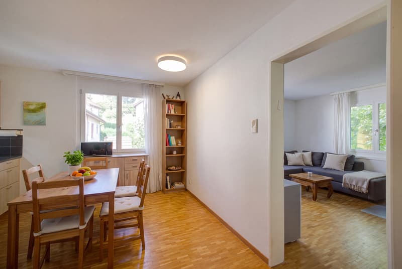 KOMPAKT WOHNEN  IN SCHÖNER UMGEBUNG - 1.5 ZIMMER  WOHNUNG IN ZWILLIKON (3)