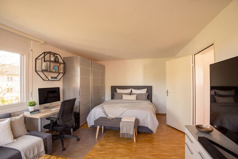 KOMPAKT WOHNEN  IN SCHÖNER UMGEBUNG - 1.5 ZIMMER  WOHNUNG IN ZWILLIKON (2)