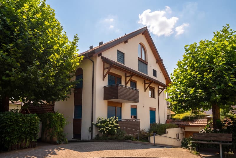 KOMPAKT WOHNEN  IN SCHÖNER UMGEBUNG - 1.5 ZIMMER  WOHNUNG IN ZWILLIKON (7)