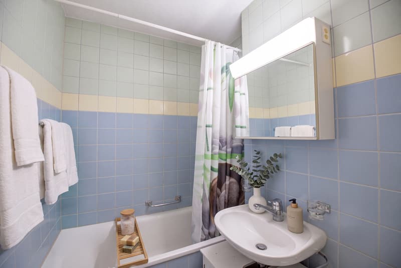 KOMPAKT WOHNEN  IN SCHÖNER UMGEBUNG - 1.5 ZIMMER  WOHNUNG IN ZWILLIKON (5)