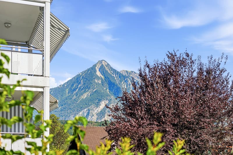 GARTENGLÜCK IN DEN BERGEN - 5.5 ZIMMER GARTENWOHNUNG IN ALPNACH DORF (7)