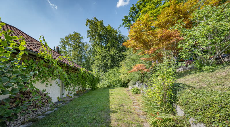 BAULANDCHANCE IN FELDMEILEN (5)