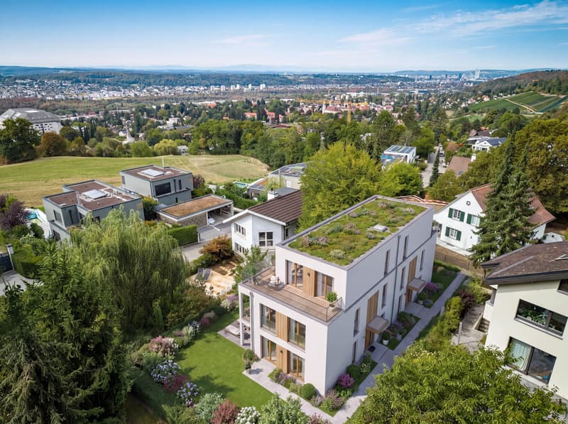 693 M² BAULAND AN BEGEHRTER HANGLAGE IN DORNACH (1)